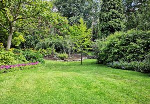 Optimiser l'expérience du jardin à Lixheim